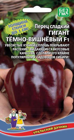 Перец ГИГАНТ ТЁМНО-ВИШНЕВЫЙ F1  Толщина стенки до 1 см! Увесистые кубики сплошь покрывают растение!