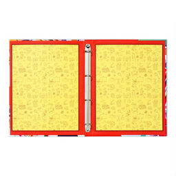 Папка школьная на кольцах «Портфолио школьника», 10 листов-разделителей, 24.5×32 см