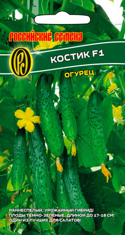 Огурец КОСТИК F1 Самый вкусный для салатов!