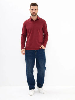 Джемпер мужской с воротником поло GREG G155-PM14T-LT7326 (бордо)  фото 5