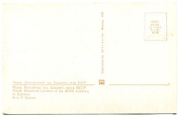 Открытка Минск.Ботанический сад Академии наук БССР