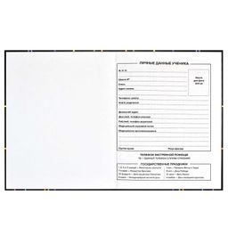 Дневник школьный арт. 60241 НЕОНОВЫЙ КРОССОВОК - Феникс+ фото 5