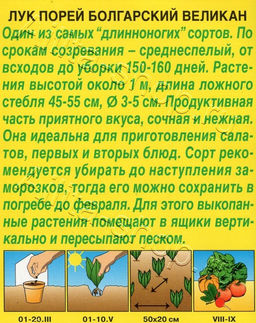 Лук порей Болгарский великан 0,5г (Аэлита)