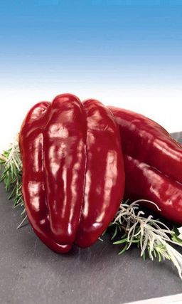 Перец ВОЛОВЬЕ УХО  Крупные плоды! Толстая стенка!