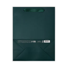 Пакет подарочный ламинированный, упаковка, «Изумрудный», MS 18 х 23 х 10 см