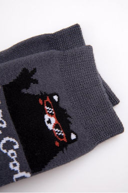 Носки махровые для мальчика Брестские  фото 8