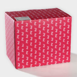 Конфетница Доляна Зайка, 650 мл, 21.5?15.5?16.5 см, доломит, белая