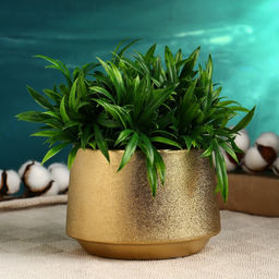 Фигурное кашпо для цветов «Золотое», 1.3 л, 14.5×14.5×10 см, керамика, золотистое