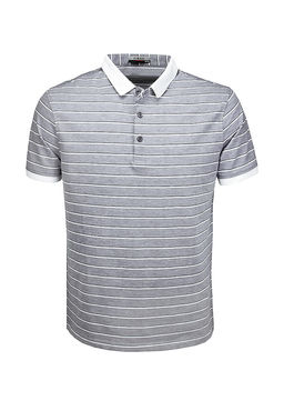 Джемпер мужской с воротником поло короткий рукав GREG G144-ZH-2 (серый м.)  фото 6