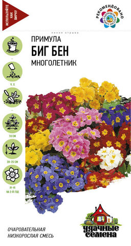 Биг-Бен примула 20 шт (г)