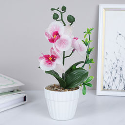 Цветочная композиция Орхидея 24 см / FH467A /уп 24/144/без индивидуальной упаковки - Галеонтрейд фото 14