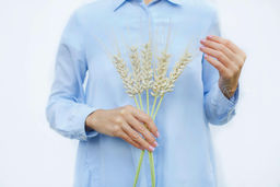 Пучок колосьев пшеницы из 5 штук - Молочный