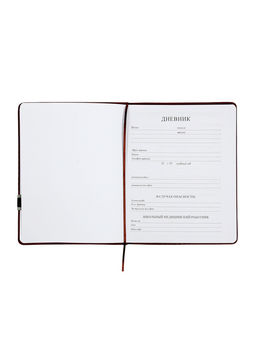 Дневник школьный 1-11 класс, лассе, обложка искуственная кожа коричневая, с хляст, с ручкой   109690