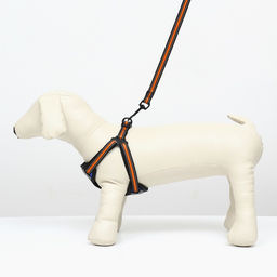 Комплект амуниции светоотражающий, размер M, ОГ 40-70 см, стропа 2 см, оранжевый - Пижон фото 7