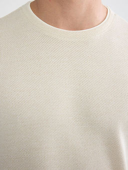 Regular Fit Bisiklet Yaka Erkek Sweatshirt