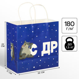 Пакет подарочный «С Др тебя если чо», 22×22×11 см, крафт, упаковка, Жил-был Пес