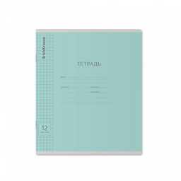 Цена за 280 шт. Тетрадь школьная ученическая ErichKrause Классика Visio ассорти, 12 листов, частая косая линейка (в плёнке по 10 шт.) фото 6