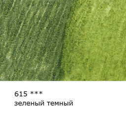 VISTA-ARTISTA Gallery VGWP Карандаш акварельный художественный заточенный 6 шт. 615 Зеленый темный (Green deep)