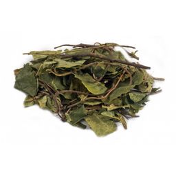 Боровая матка (ортилия однобокая, листья) 20 гр.