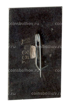 Значок Волгоград  город-герой  Вечный огонь