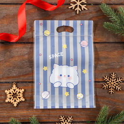 Цена за 50 шт. Пакет подарочный Zip-lock, «Корейский стиль», 15.5×22+3.5 см МИКС