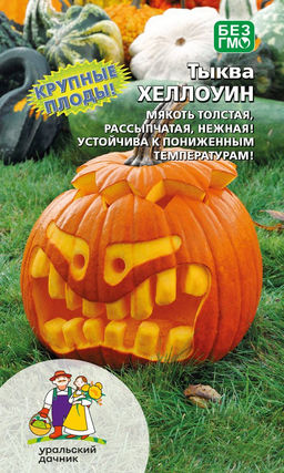 Тыква ХЕЛЛОУИН Мякоть толстая, рассыпчатая, нежная! Устойчива к пониженным температурам!