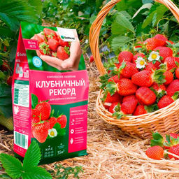 Удобрение комплексное 1кг Клубничный рекорд БИОМАСТЕР - On фото 3