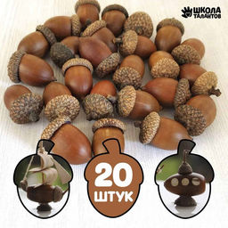 Декор для творчества «Желуди» набор 20 шт., 3×2 см