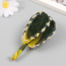 Цена за 2 шт. Искусственный суккулент для создания флорариума «Кактус Пилозоцереус», 4.5×6×11.5 см