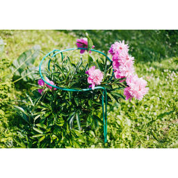 Кустодержатель, d=70 см, h=60 см, d=1 см, металл, набор 2 шт., зелёный - Simaland фото 2