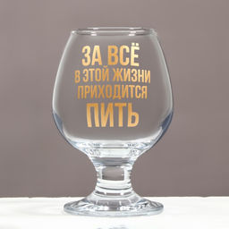 Бокал для коньяка «Приходится пить», 265 мл