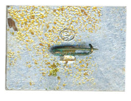 Значок Коломенское