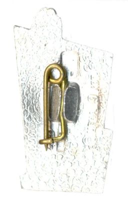 Значок Петродворец