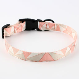 Набор Ромбы, застёжка - фастекс, поводок 2 м и ошейник 28-46 см - Пушистое счастье фото 7