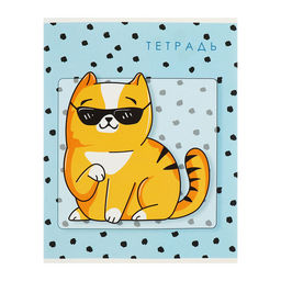 Комплект тетрадей из 5 штук, 48 листов в клетку Calligrata «Коты», обложка мелованный картон, блок офсет