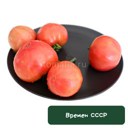 Времен СССР