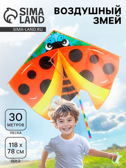Воздушный змей Божья коровка, с леской