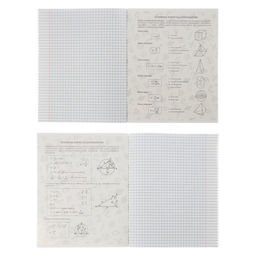 Набор предметных тетрадей Calligrata TOP «Аниме», 10 предметов, 48 листов, со справочным материалом, обложка из мелованного картона, твин-лак, выборо...