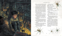 Гарри Поттер и философский камень (с цветными иллюстрациями). Роулинг Дж.К. - Махаон фото 4