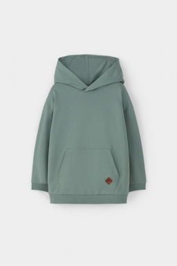 КР 302680-1/полынь джемпер (худи) для мал