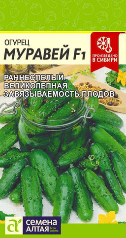 Огурец Муравей F1/Сем Алт/цп 5 шт.