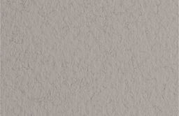 Fabriano Бумага для пастели Tiziano 160 г/м2 A3 29.7 х 42 см лист 25 л. China/Серый теплый 72942128