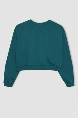 Толстый толстый свитшот Cool Oversize с круглым вырезом - Defacto фото 10