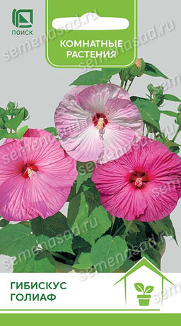 Гибискус Голиаф (ЦВ) ("К) ("1) 0,1гр