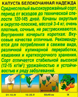 Капуста б/к Надежда 0,5г (Аэлита, серия Лидер)