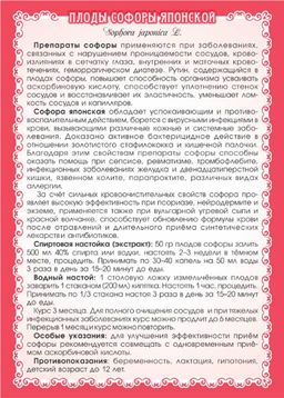 2 шт. Софора японская (плоды) - Мариславна фото 5