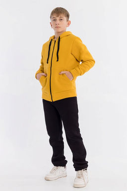 Толстовка М223089а Горчичный