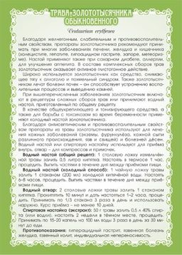 2 шт. Золототысячник (трава) - Мариславна фото 3