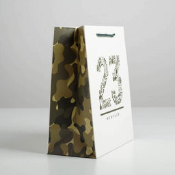 Цена за 2 шт. Пакет подарочный ламинированный, упаковка, 23 февраля, ML 23?27?11.5 см