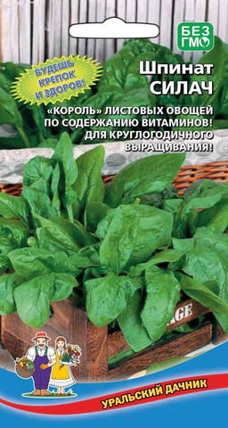 Шпинат СИЛАЧ Будешь крепок и здоров! Король листовых овощей по содержанию витаминов! Для круглогодичного выращивания!